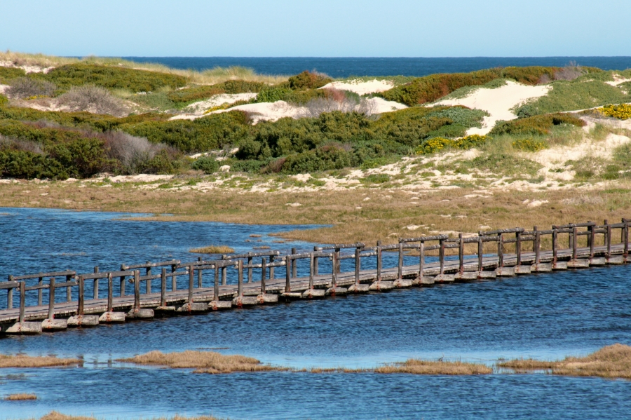 2 Bedroom Property for Sale in Meerenbosch Western Cape